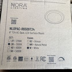 6 Inch Led Surface Mount