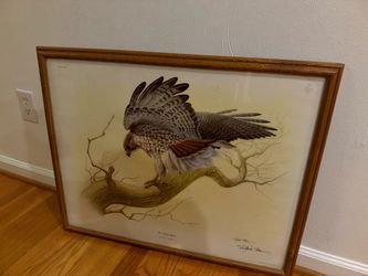 Richard Sloan Red-Tailed Hawk Framed Wildlife Print – 1973 – 30" x 24"