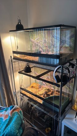 Zoo Med  40 Gallon