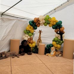 Balloon Garland For Any Occasion 