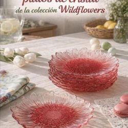Set de 8 Plato’s de Cristal wildflower nuevos en sus cajas 🌺 princess house 🌺