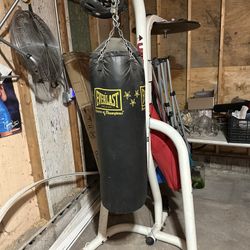 Everlast Punching Bag