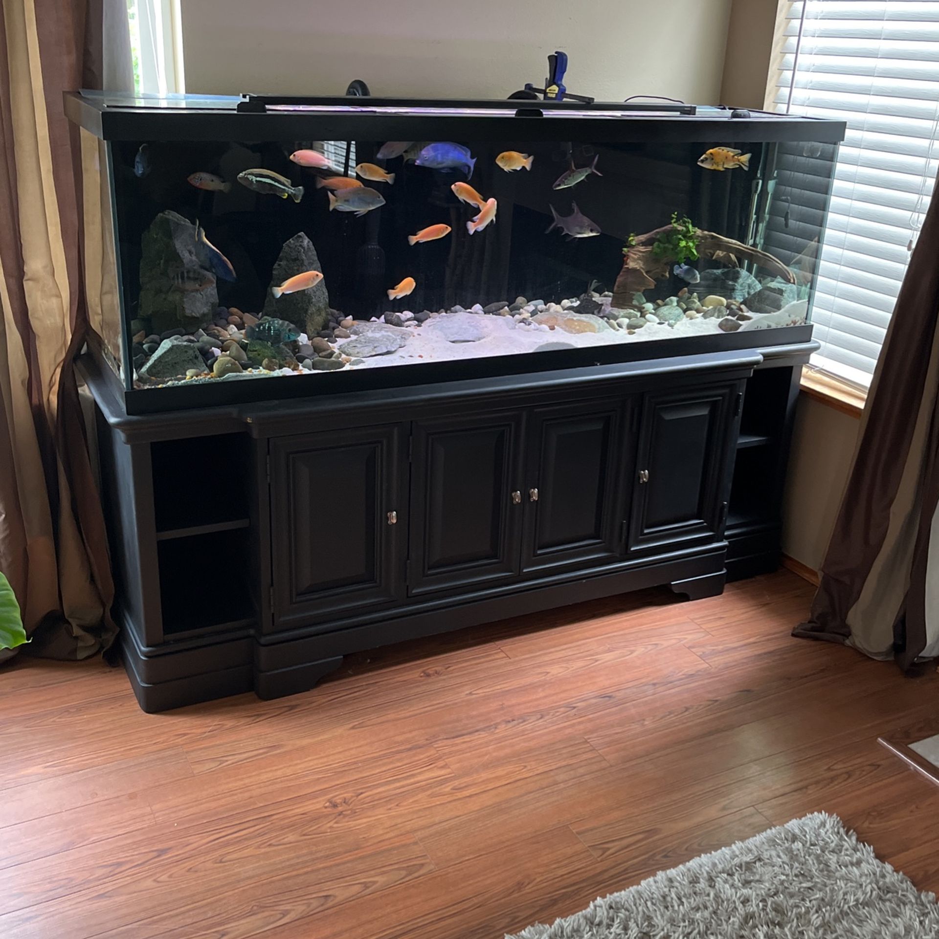 125 Gallon Aquarium With Stand for Sale in Auburn, WA OfferUp