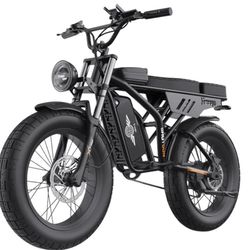 Freego 20x4 Fat Tire Electric Bicycle