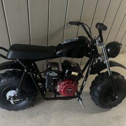 Adult Mini Bike 