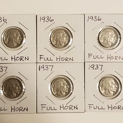 Lot Of Buffalo Head Nickels
