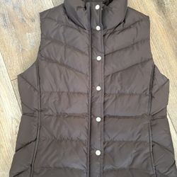 J.crew Espresso Color Vest Down Fill Large