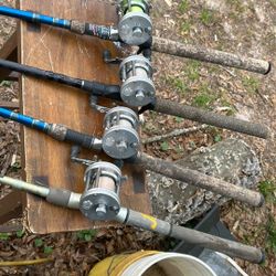 Rod And Reels Abu Garcia 6500 Cs