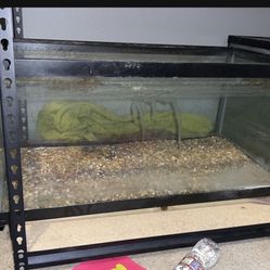 40 Gallon Fish Tank