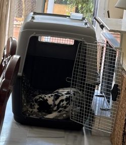 Big dogs kennel IATA certified