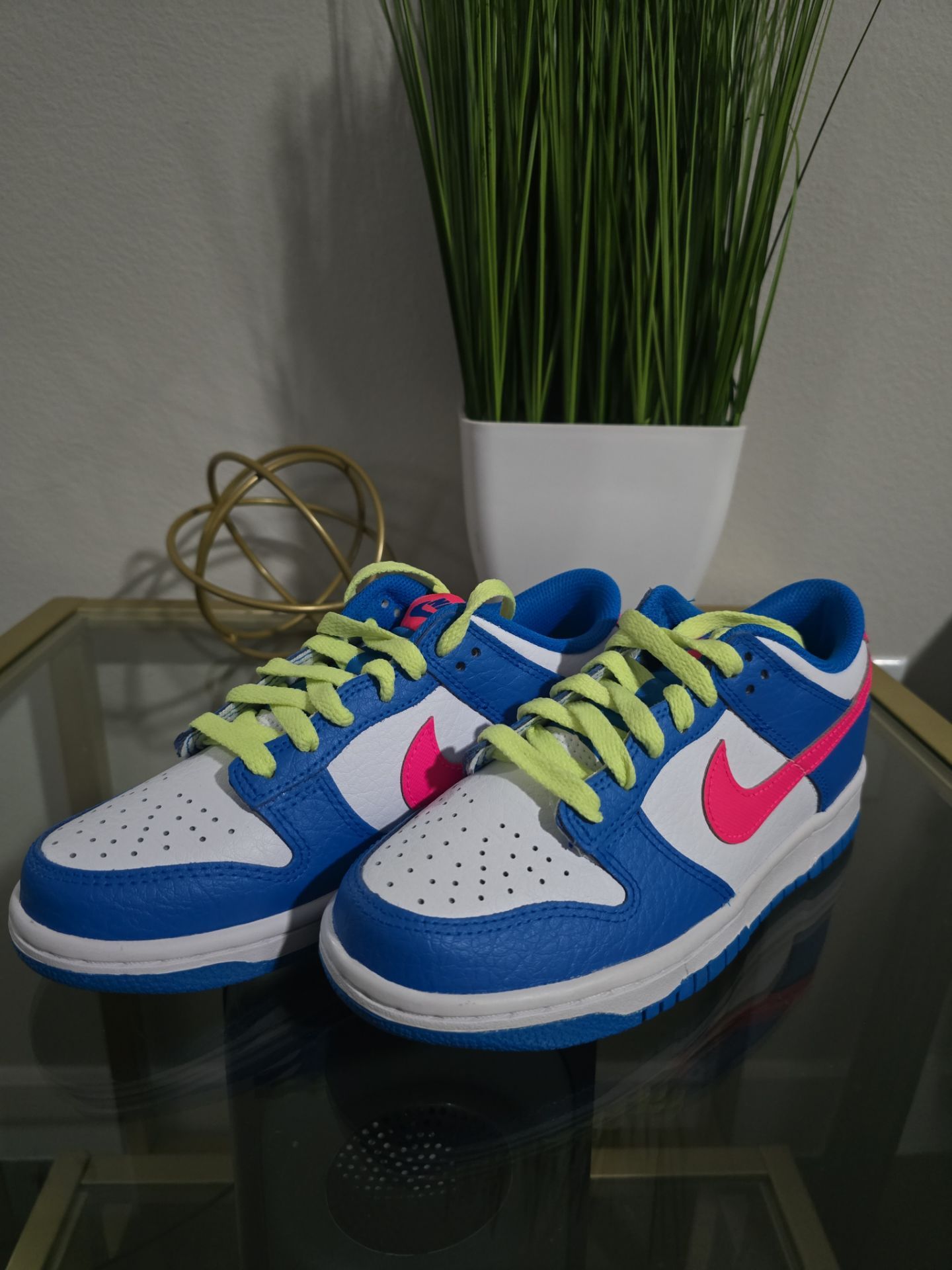 Nike Dunks