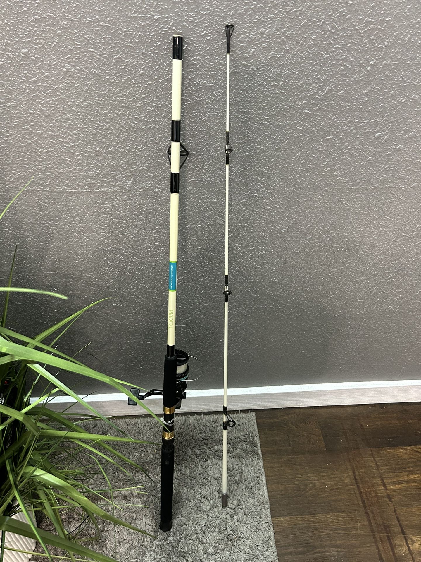 Fishing Rod And Reel