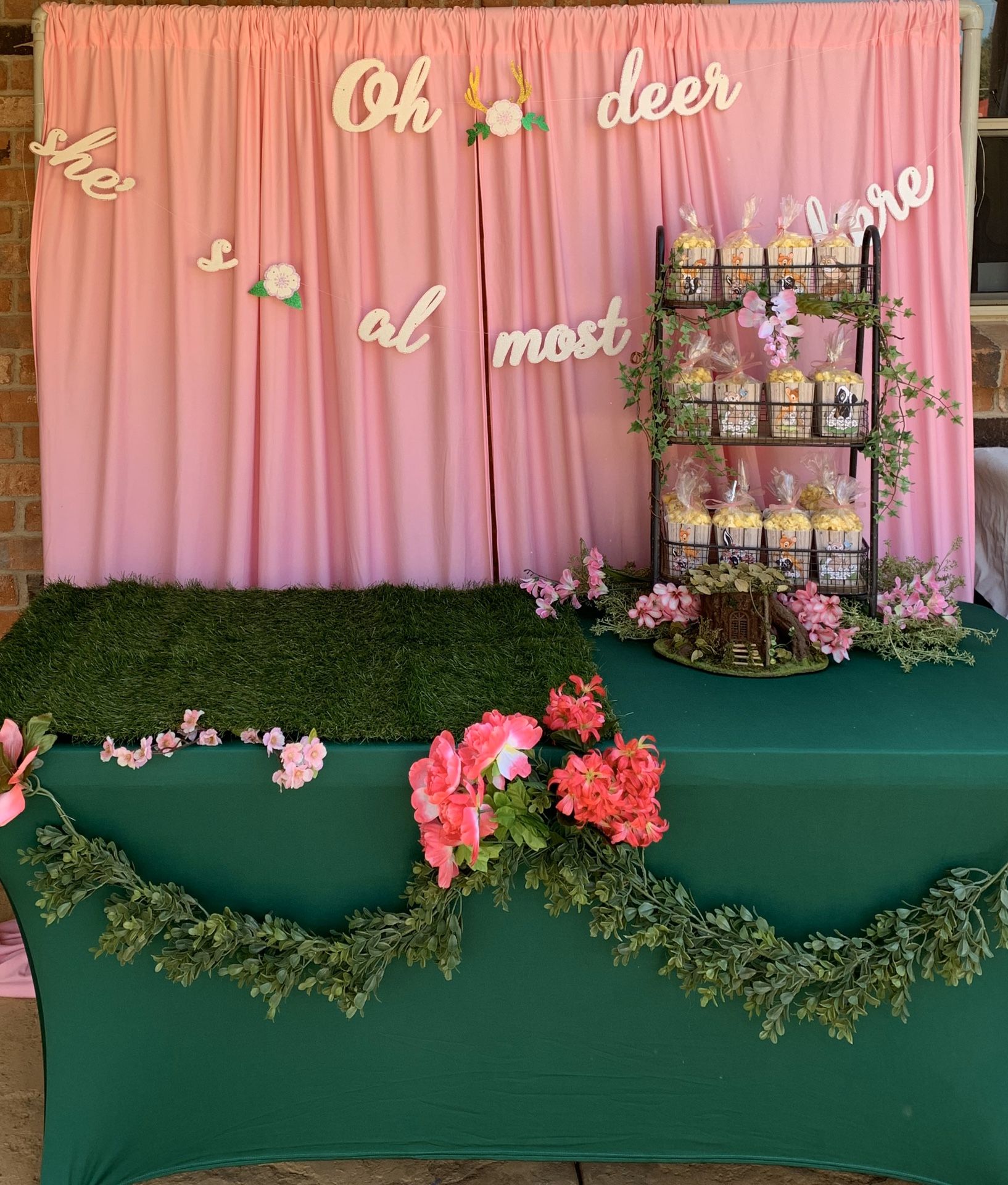 Deer Birthday Party/ Baby Shower Decorations