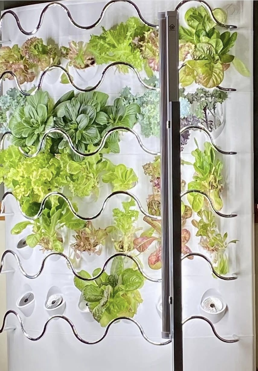 IHarvest Hydroponic Garden System. Used 6months
