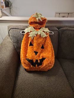 XL (2T-4T) Underwraps Plush Pumpkin Halloween