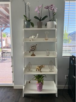 Shelf