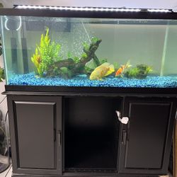 Fish Tank  For Sale 