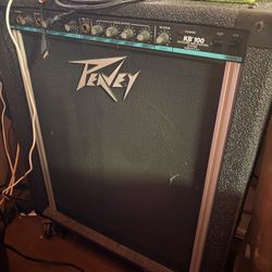 Peney Speaker