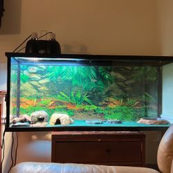55 Gallon fish / reptile tank