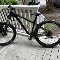 Kona Big Honzo