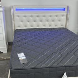  queen bed frame platform bed/charging station &built in LED light./ Mattress Included 