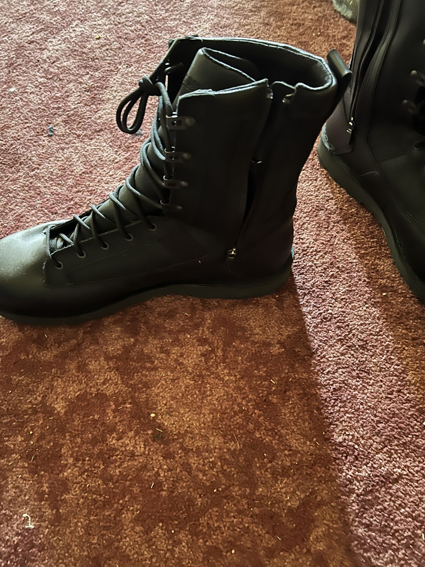 Danner Boots