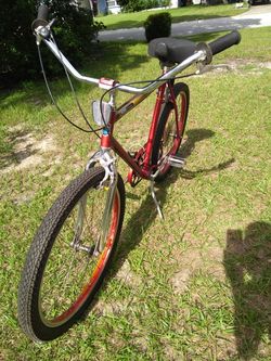 Boss outlet beach cruiser