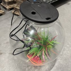Plastic Fish Bowl