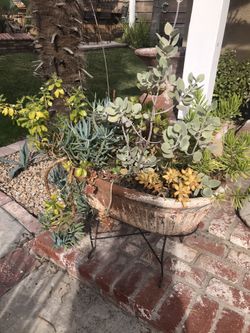 Secullant planter