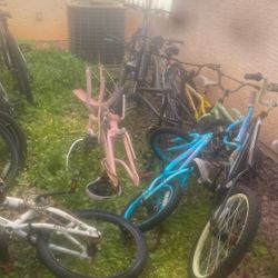 Bike Scraps Need gone