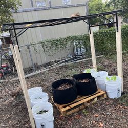 Grow Buckets Galore! - Pricing In Description 