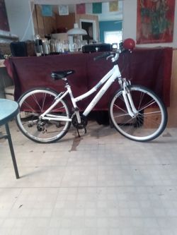 Schwinn 21 speed hybrid