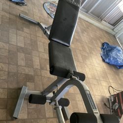 Weight Bench 