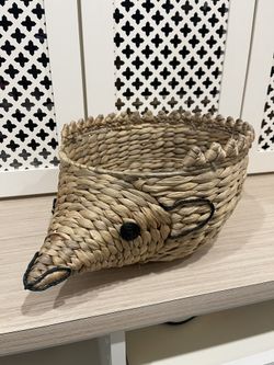Pottery Barn Kids - Shaped Hedgehog Basket Handwoven from water hyacinth over an iron frame.