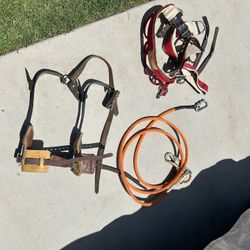 Tree Trimming Gear