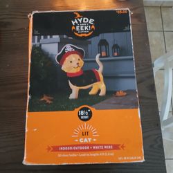 Halloween Kitty Outdoor Decor Lights Up!  (missing Some Whiskers On One Side)