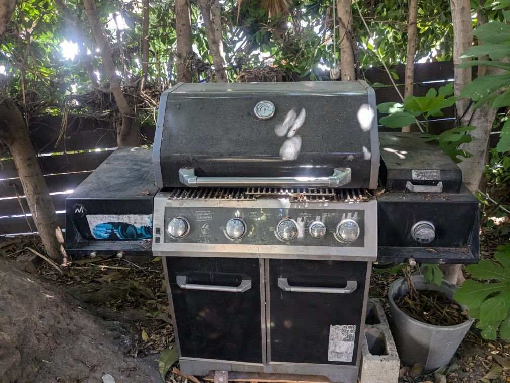 Monument Grill Propane Coal Professional High Grade Outdoor