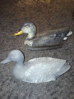 (2) DECOY DUCKS/ MALLARDS