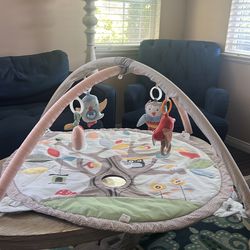 Skip Hop Playmat