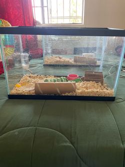 Hamster tank
