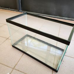 10Gal Aquarium 