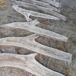 ^^^^^^BLACK WALLUNUT  SLABS  AND  MORE ^^^^^^^^