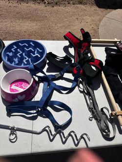 Dog bowls, harnesses and more