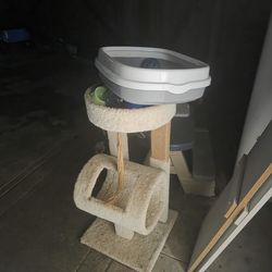 Cat Tree & accessories