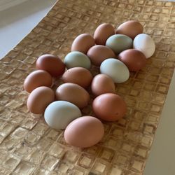 ORGANIC FREE RANGE EGGS 