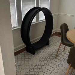 FastCat Cat Wheel  $150 OBO