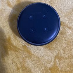 echo dot