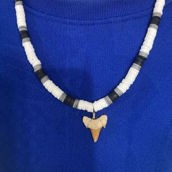 REAL SHARK TOOTH NECKLACE | 18 INCH NECKLACE | SURFER | OCEAN ENTHUSIAST