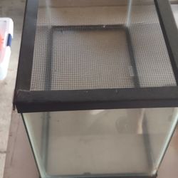 Reptile Tank