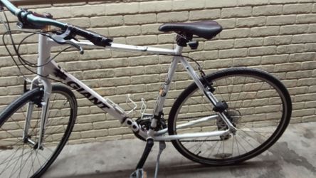 Giant road bike escape
